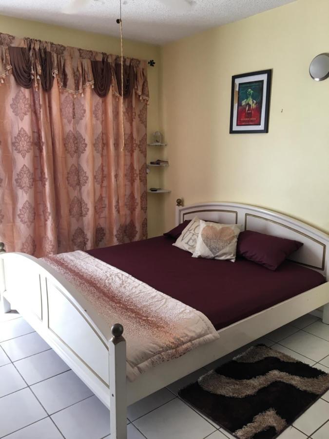 #D1 Castle Studio Wifi King Bed Ocho Rios Jamaica المظهر الخارجي الصورة