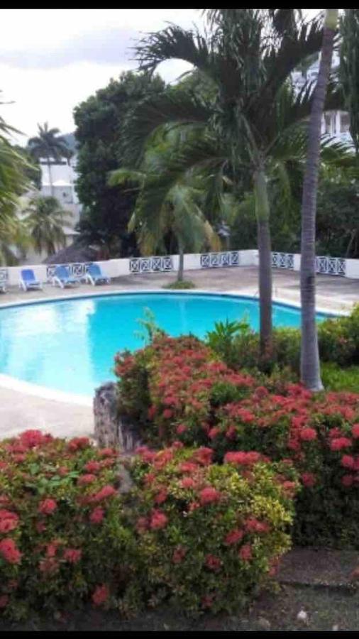 #D1 Castle Studio Wifi King Bed Ocho Rios Jamaica المظهر الخارجي الصورة