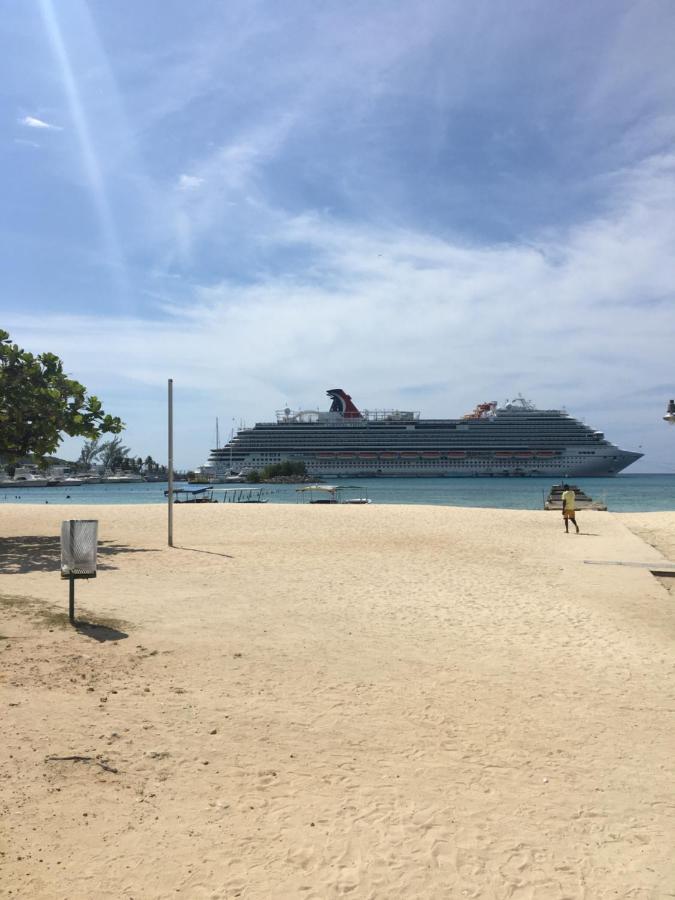#D1 Castle Studio Wifi King Bed Ocho Rios Jamaica المظهر الخارجي الصورة