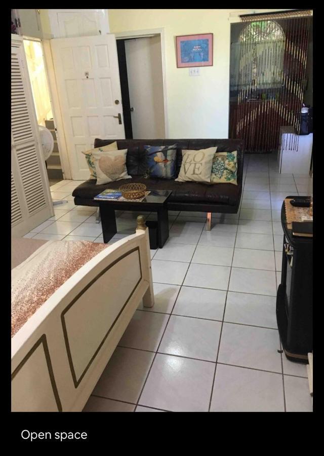 #D1 Castle Studio Wifi King Bed Ocho Rios Jamaica المظهر الخارجي الصورة